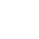 Smartnet logo (White)